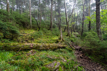 Hiking on Mountain Daibosatsu in Japan