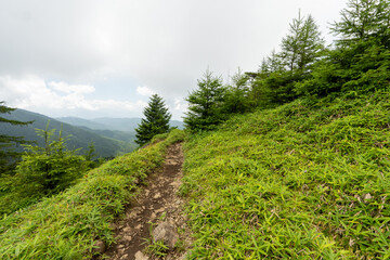 Obraz premium Hiking on Mountain Daibosatsu in Japan