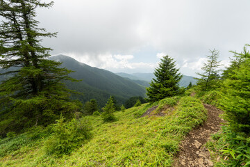 Fototapeta premium Hiking on Mountain Daibosatsu in Japan