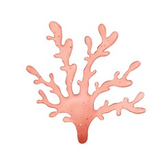 Hand drawn red coral, watercolor illustration