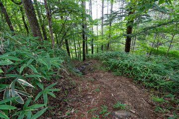 Hiking on Mountain Daibosatsu in Japan