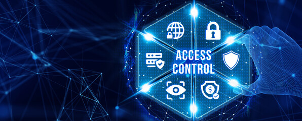 Business, Technology, Internet and network concept. Virtual display: Access control. 3d illustration