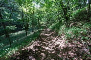 Hiking on Mountain Daibosatsu in Japan