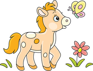 Funny little foal playing with a small butterfly in a summer flower field, vector cartoon illustration isolated on a white background