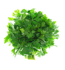 Parsley bunch Isolated without shadow on white. Parsley herb leaves. green sprig of parsley.