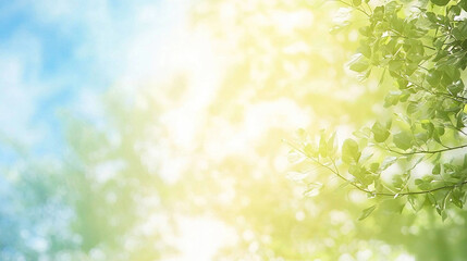 Obraz premium Sunlight filtering through fresh green leaves