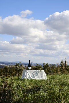 Wienwandern at Nussberg, Vienna.2024. 
