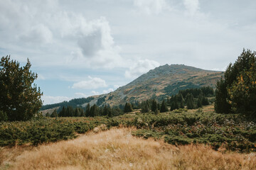 Fototapeta premium autumn in the mountains