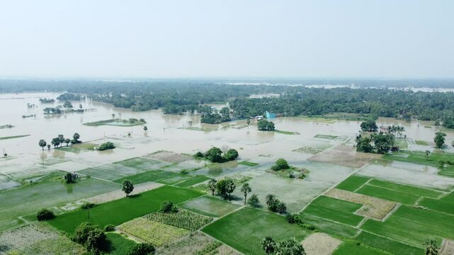 Ariel view shot of West Bengal flood by river Damodar and Mundeshwari in rainy season.
