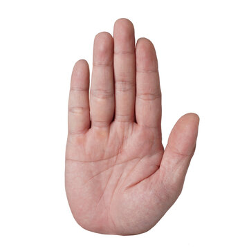 Male person hand showing open palm or five fingers gesture, cut out isolated