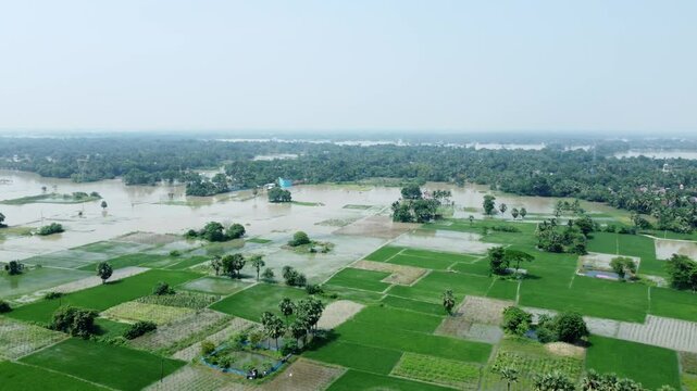 Ariel view shot of West Bengal flood by river Damodar and Mundeshwari in rainy season.