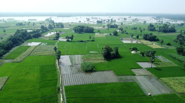 Ariel view shot of West Bengal flood by river Damodar and Mundeshwari in rainy season.