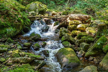 A view of the waterfalls of the river Ilse in the Harz Mountains in Germany