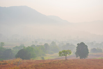 Amazing foggy misty landscape, Dramatic view during a beautiful foggy morning, Fantasy landscape, exotic environment, Mulshi, Pune, Maharashtra, India. Background, Cover, Wallpaper, Soft focus