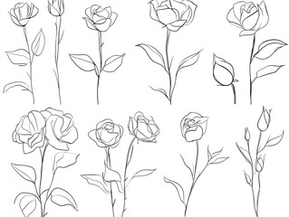Elegant Hand-Drawn Roses: A Stunning Collection of Intricate Floral Designs for Home Decor and Posters, Perfect for Adding Sophistication to Any Space