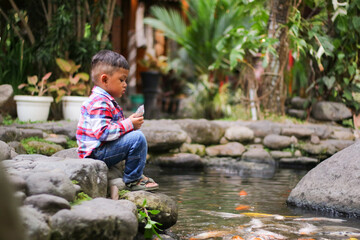 Asian kid sitting on the aged wooden pier, feeding Koi carp fish in the pond.