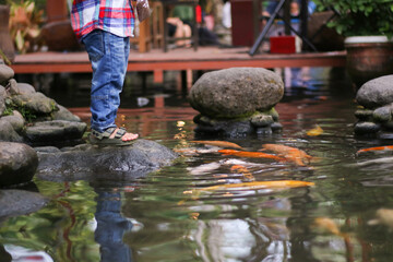 Happy kids walk with fun by pond stepping stones, feeding golden koi fishes in Tirta Gangga garden...