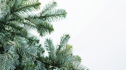 Obraz premium christmas background with christmas branches and decorations