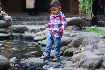 Feeding the hungry funny decorative Koi carps in the pond. Children's hand hold fish food. Animal care concept. Close up.