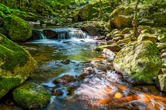 A view of the waterfalls of the river Ilse in the Harz Mountains in Germany