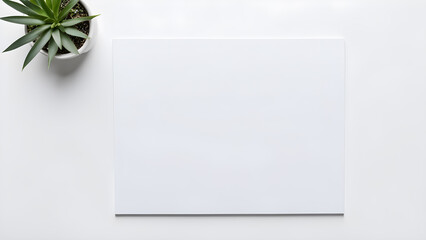 Top view blank space white square paper mock up with little plant on white table for creative design