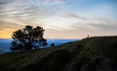 Obraz premium Man standing on top of the hill at sunset. Te Mata Peak. Hawke’s Bay.