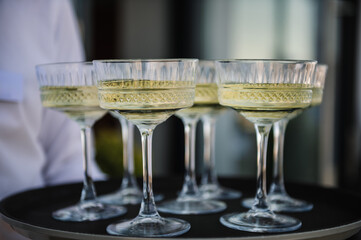 The waiter serving champagne on tray. Tray of glasses of summer sparkling wine for guests at wedding reception. Waiter holding glasses in backyard. Woman brings full glasses of champagne closeup.
