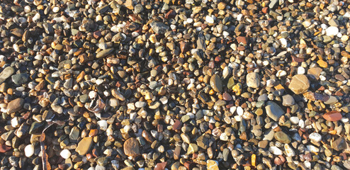 Background of wet sea pebbles. Panorama.