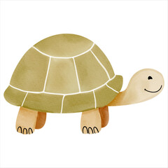 Cute watercolor turtle. Illustration of hand drawn cartoon tortoise. Wild animals.