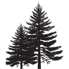 Christmas tree silhouette pine tree christmas black plant nature monochrome