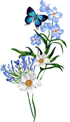 agapanthus flower, White anemone flower, bouquet, watercolor painting hand-drawn