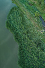 Drone photo of green island with dense vegetation