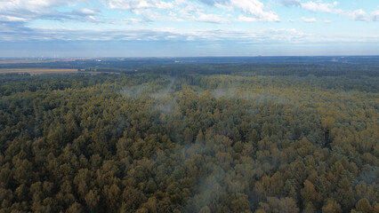 Aerial drone captures forest fog at dawn