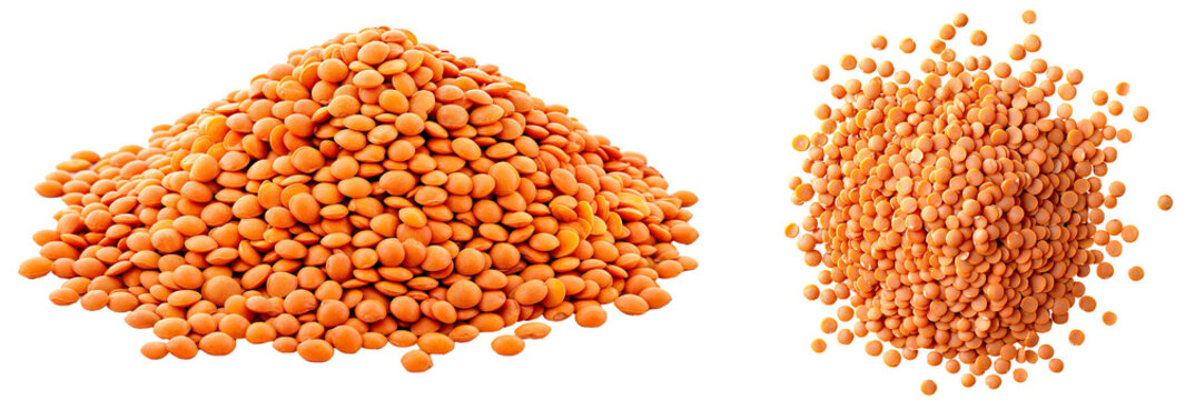 Cluster of Red Lentils, Collection in Side and Top View