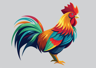 rooster isolated on white background