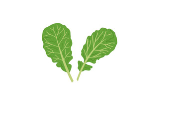 Naklejka premium diet food