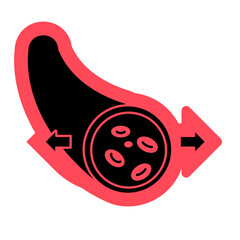 Vasodilation Blood Vessels