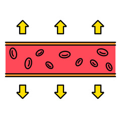 Vasodilation Blood Vessels