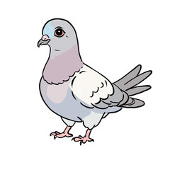 pigeon images that have been colored