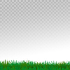 juicy-green-grass-with-transparent-background