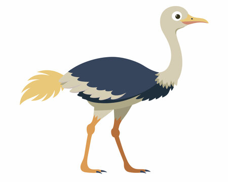 recommend clip art: ostrich vector illustration