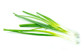 Group of Spring Onion or Green Onion isolated on white background close up