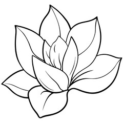 Obraz premium Hand Drawn Magnolia Flower in a Stunning Vector Illustration Style 