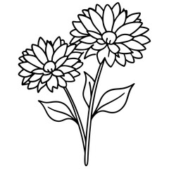 Vector Illustration of a Small Bouquet of Asters with Delicate Petals for Floral Design Inspiration
