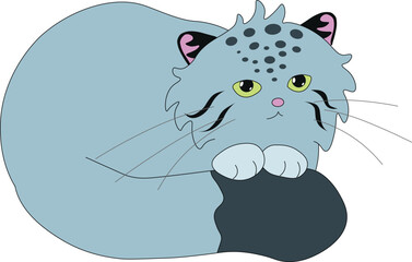 cute wild cat manul put his paws on his fluffy tail, stock vector, cartoon