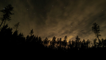 Stars and clouds in the night sky above the forest