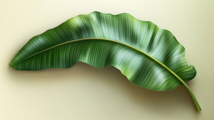 Fototapeta premium Realistic banana leaf with detailed veins and textures, placed against a soft natural background.