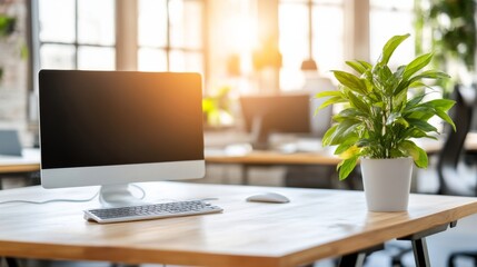Modern Workspace with Computer and Green Plant