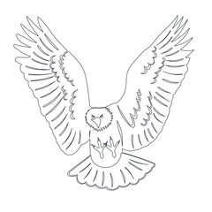 eagle flapping wings sketch on white background, vector