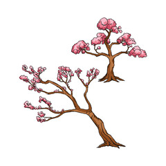 Sakura Tree flowers Vector